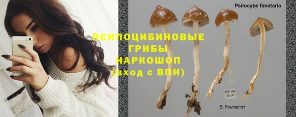 тгк Балахна
