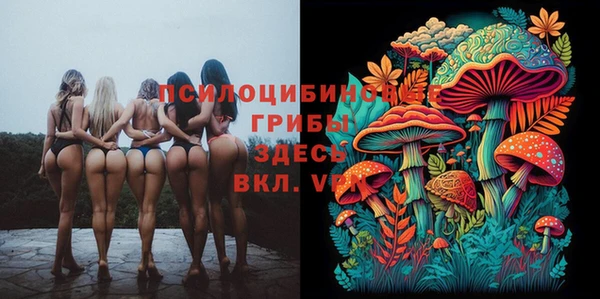 тгк Балахна
