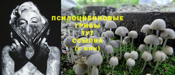 тгк Балахна