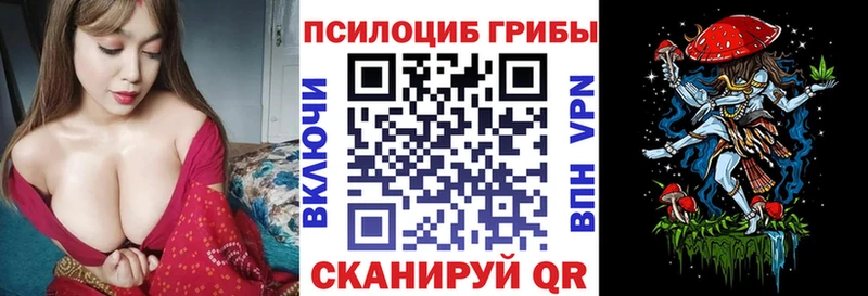 darknet телеграм  Горнозаводск  Псилоцибиновые грибы Psilocybine cubensis  купить   ссылка на мегу  